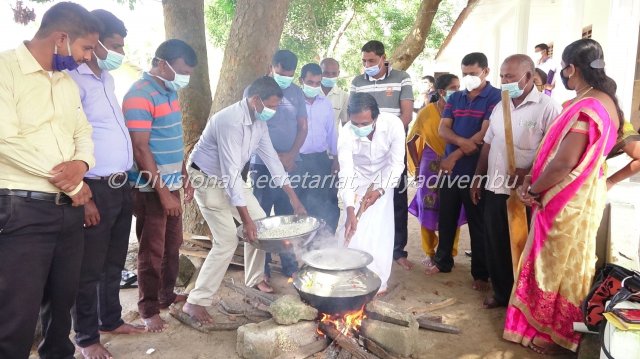 Pongal festival of Alayadivembu Divisional Secretariat-2021